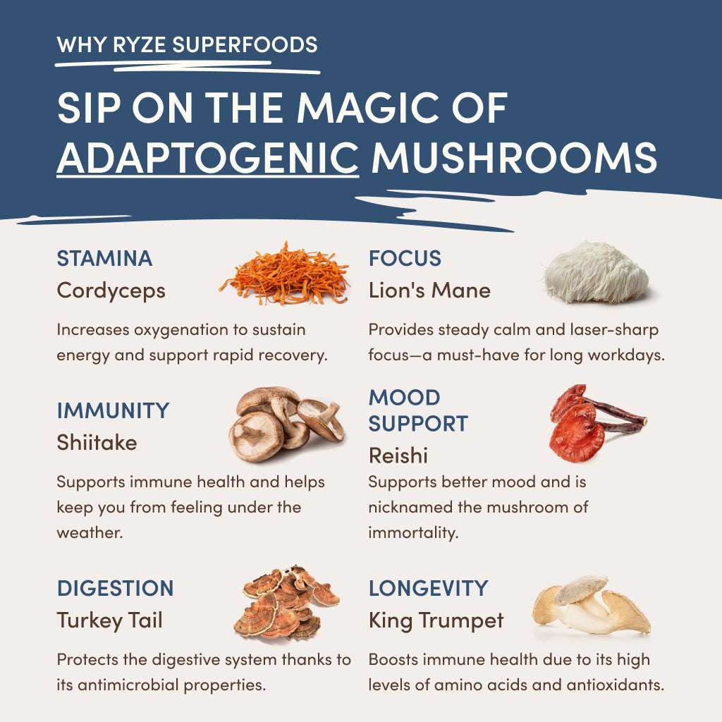 RYZE Nighttime Mushroom Cocoa Starter Bag - Easy Store