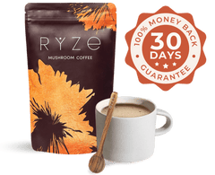 Chai Free Gift Bundle - Simple Edit