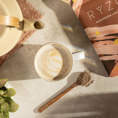 Chicory (30 Servings) - Travel Ready