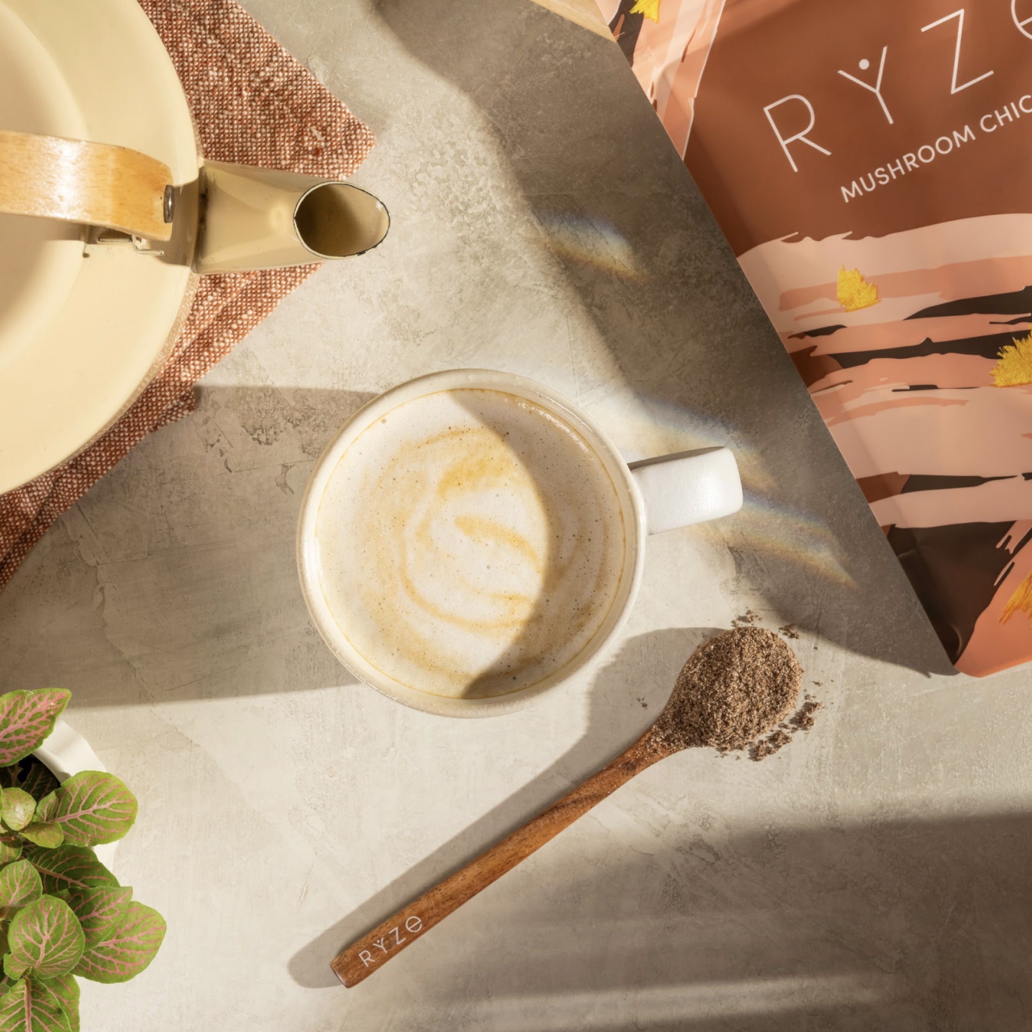 Chicory (30 Servings) - Travel Ready