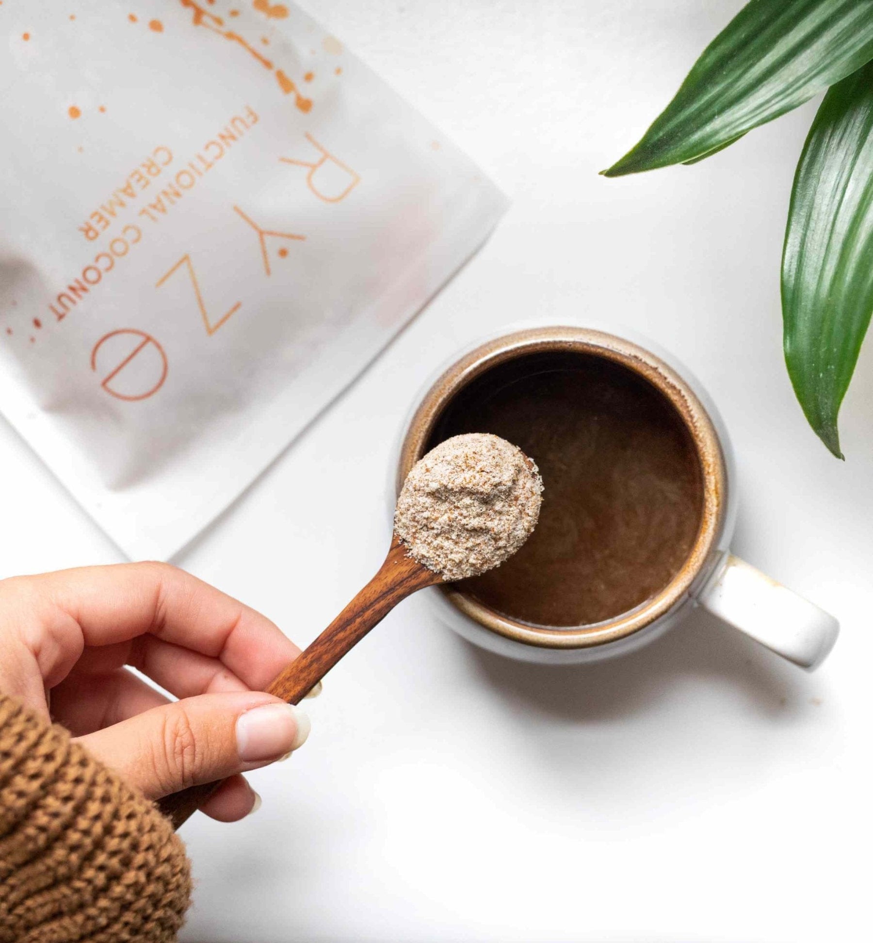 Probiotic Creamer (SPECIAL PRICING) - Easy Choice