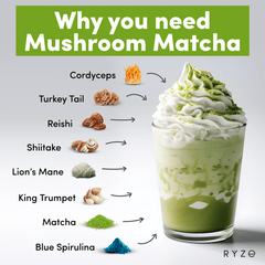 RYZE Matcha - with 6 Organic Adaptogenic Mushrooms Grown In USA and Ceremonial-Grade Japanese Matcha - Home Choice