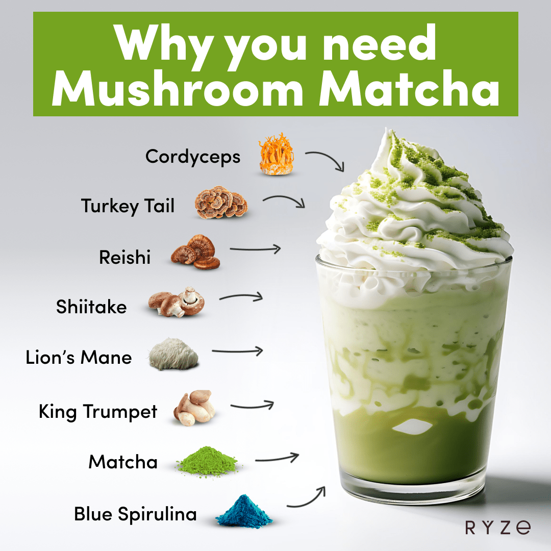 RYZE Matcha - with 6 Organic Adaptogenic Mushrooms Grown In USA and Ceremonial-Grade Japanese Matcha - Home Choice