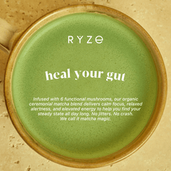 RYZE Matcha - with 6 Organic Adaptogenic Mushrooms Grown In USA and Ceremonial-Grade Japanese Matcha - Home Choice
