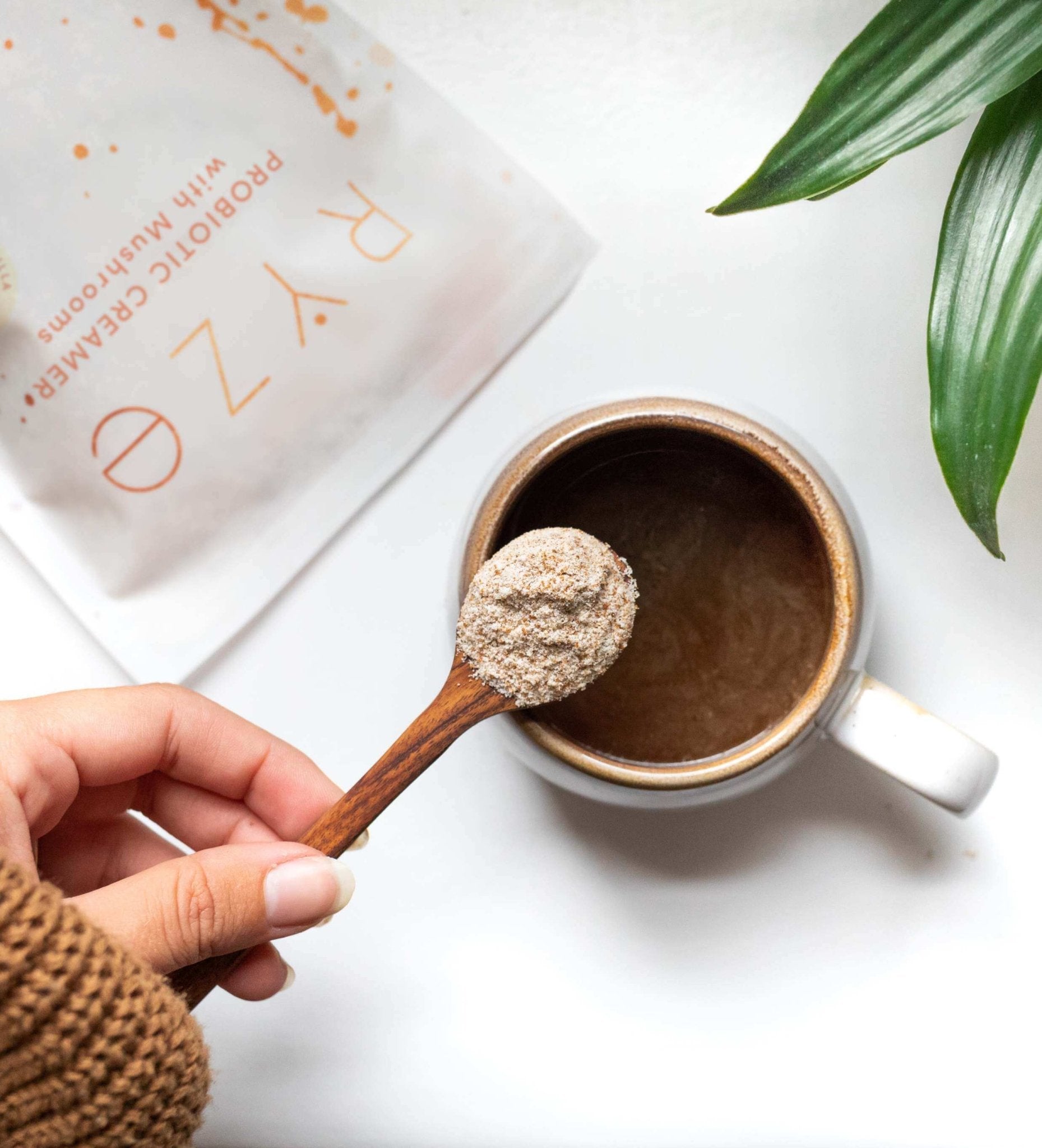 Try our Creamer for 50% OFF! - Active Ready